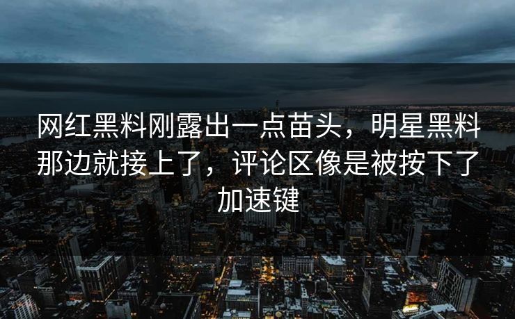 网红黑料刚露出一点苗头，明星黑料那边就接上了，评论区像是被按下了加速键