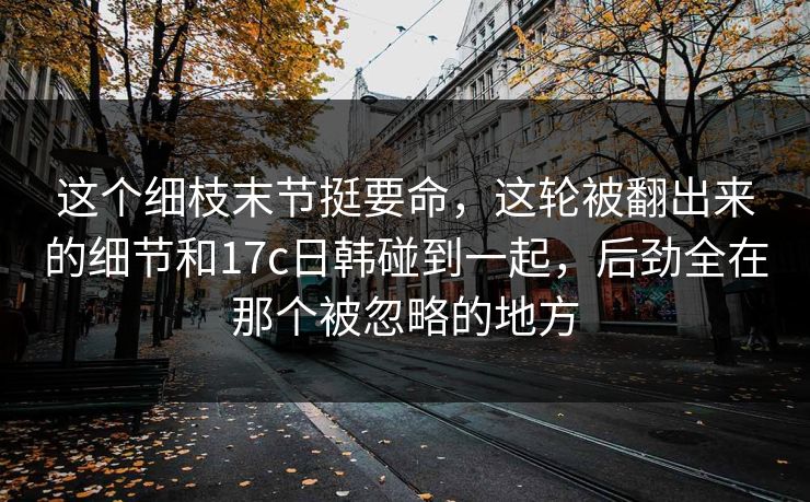 这个细枝末节挺要命，这轮被翻出来的细节和<strong>17C</strong>日韩碰到一起，后劲全在那个被忽略的地方