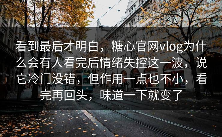 看到最后才明白，糖心官网vlog为什么会有人看完后情绪失控这一波，说它冷门没错，但作用一点也不小，看完再回头，味道一下就变了
