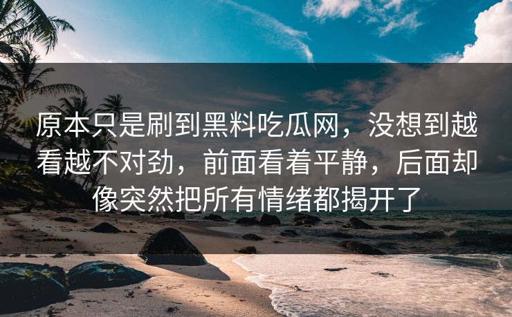 原本只是刷到黑料吃瓜网，没想到越看越不对劲，前面看着平静，后面却像突然把所有情绪都揭开了