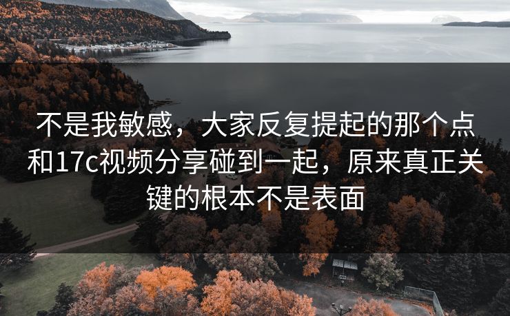 不是我敏感，大家反复提起的那个点和<strong>17C</strong>视频分享碰到一起，原来真正关键的根本不是表面