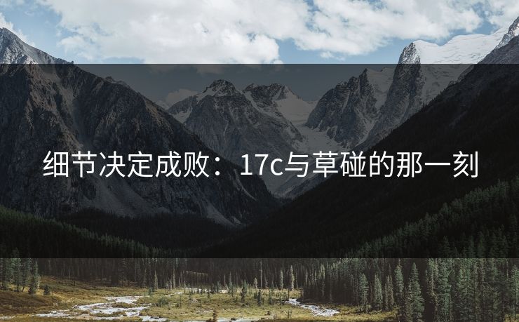 细节决定成败：<strong>17C</strong>与草碰的那一刻