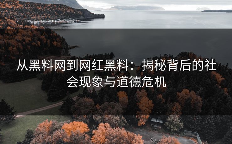 从黑料网到网红黑料：揭秘背后的社会现象与道德危机