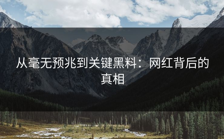 从毫无预兆到关键黑料：网红背后的真相