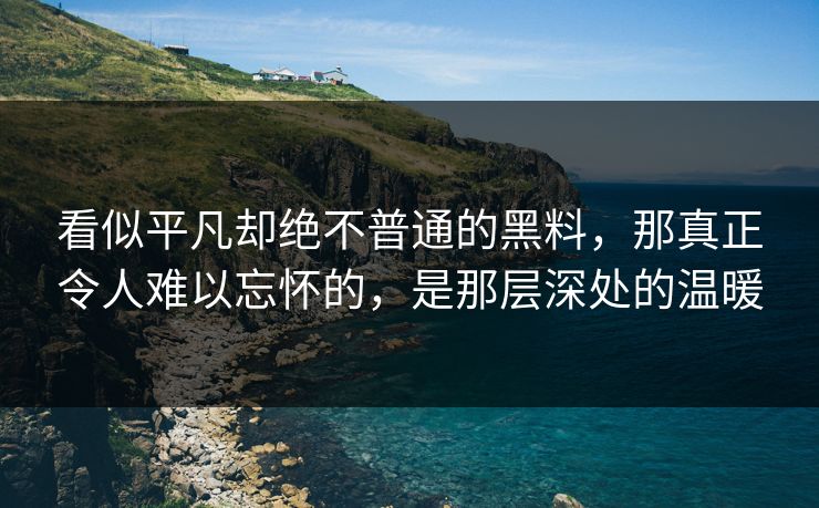 看似平凡却绝不普通的黑料，那真正令人难以忘怀的，是那层深处的温暖